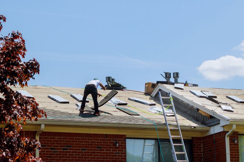 Stops mold and mildew growth