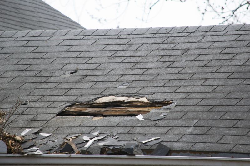 Damaged Roof Shingles